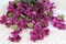 2Pcs Rose Red Artificial Silk Hibiscus Flower Hanging Decorations, UV Resistant Outdoor Faux Hibiscus Flowers for Home Outdoor Artificial Flower Decorations